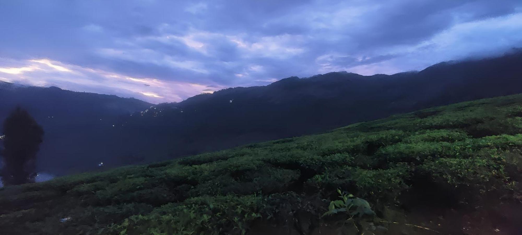 Beauty Spot Munnar Hotel Bagian luar foto