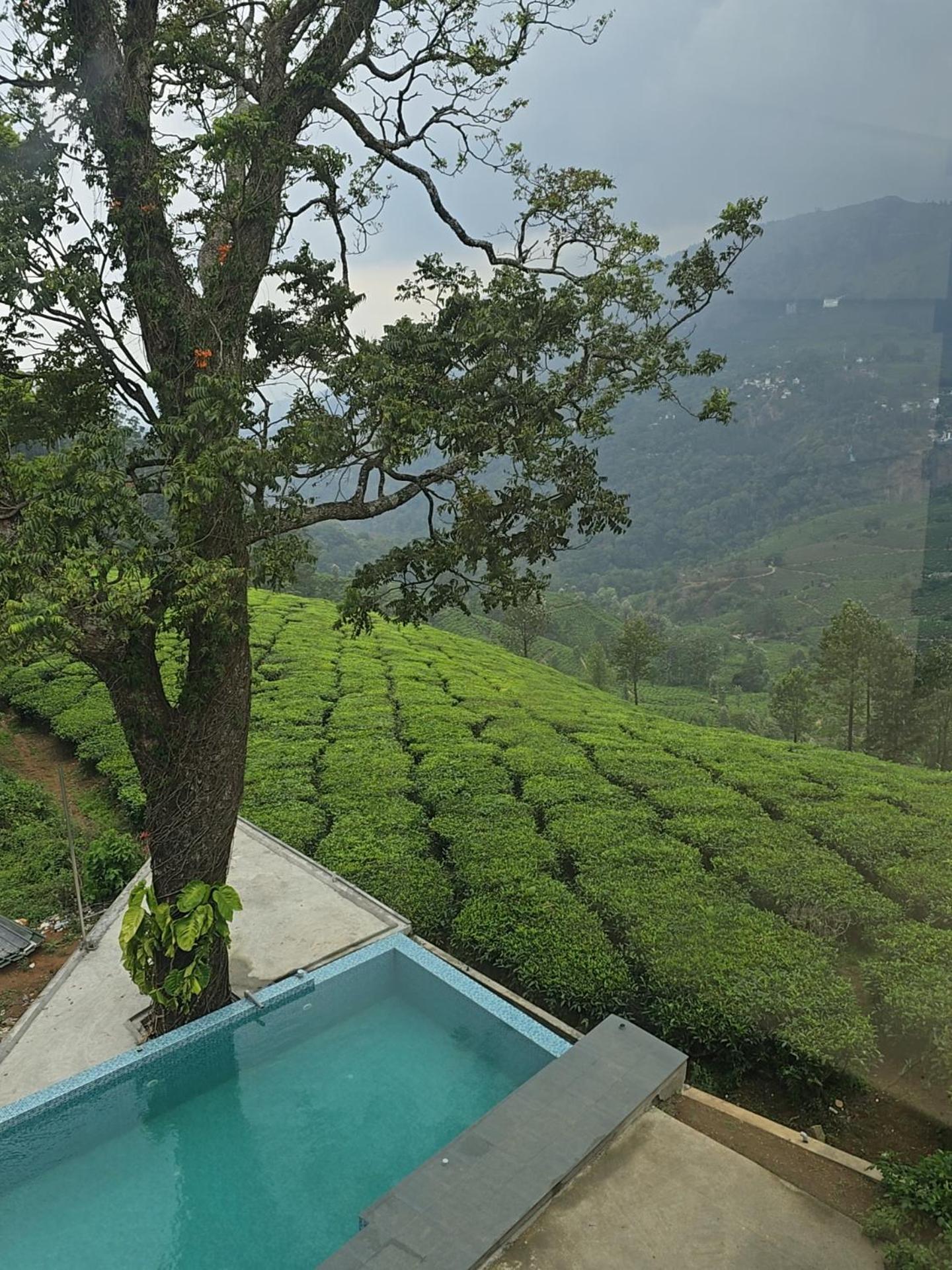 Beauty Spot Munnar Hotel Bagian luar foto