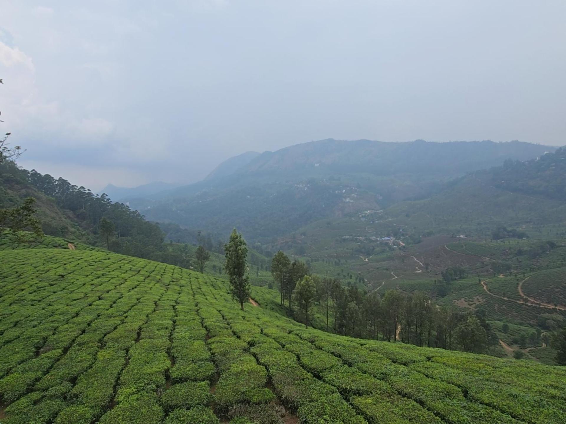 Beauty Spot Munnar Hotel Bagian luar foto